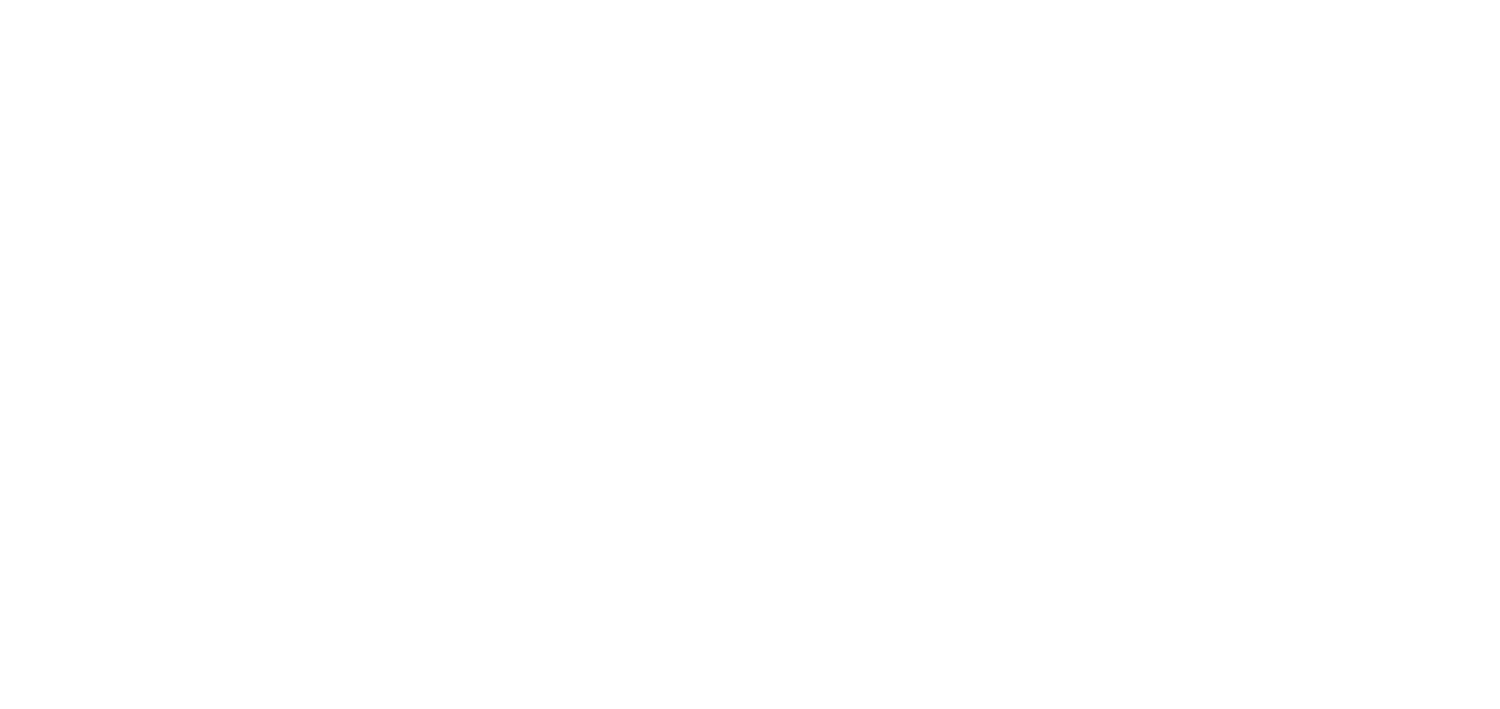 bear money